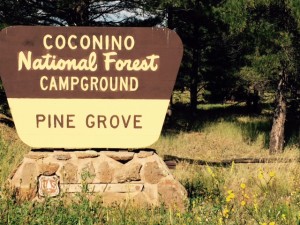 Pine Grove Camp Ground AZ