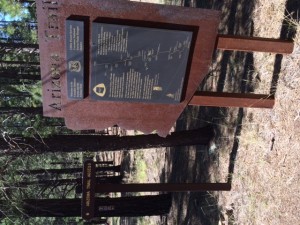 The Arizona Trail:  A Path Less Traveled